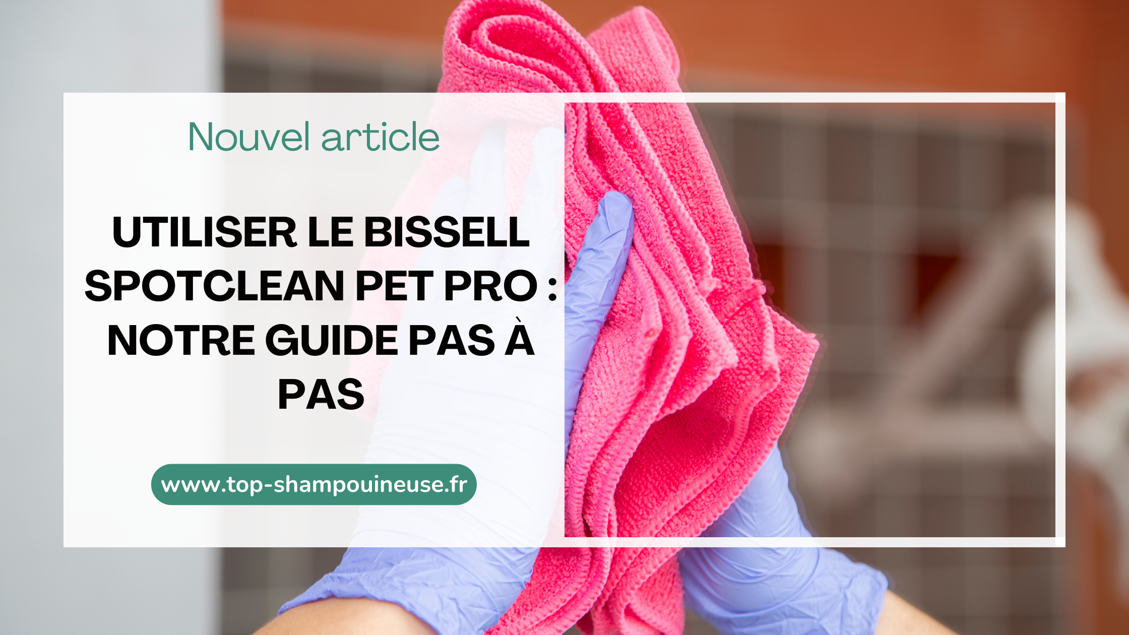 Utiliser le Bissell SpotClean Pet Pro : notre guide pas à pas