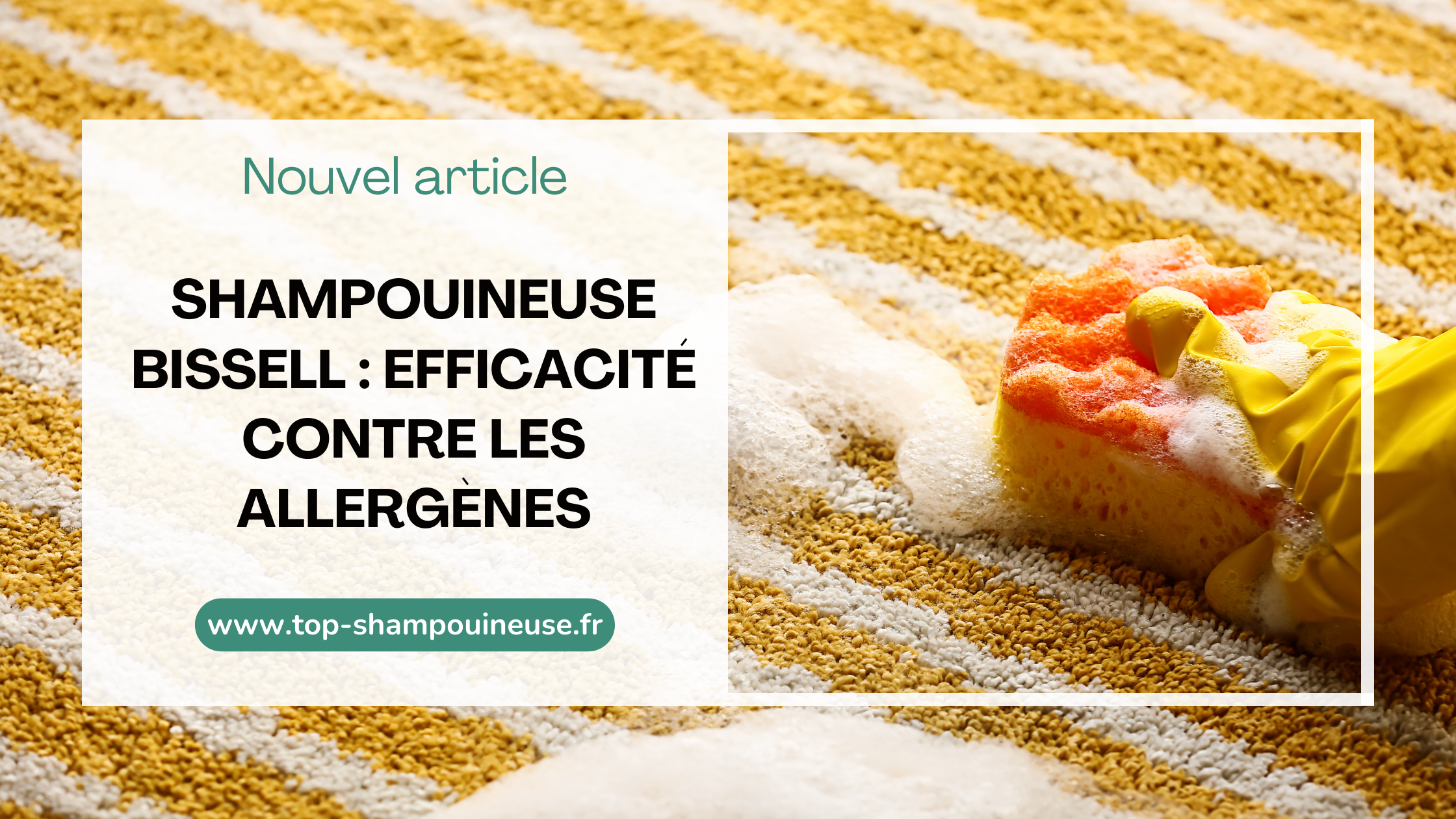 Shampouineuse Bissell : Efficacité contre les allergènes