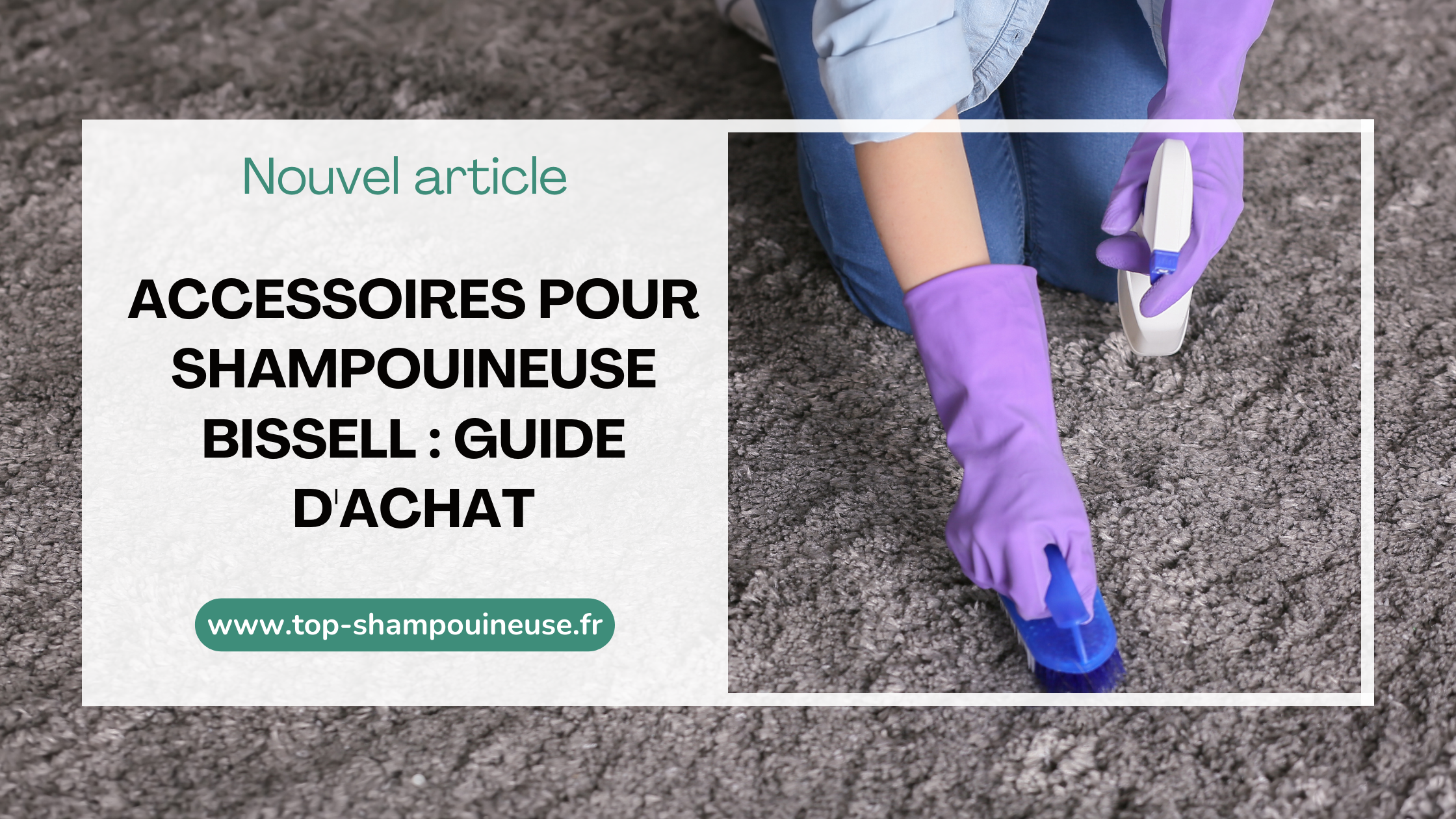 Accessoires pour shampouineuse Bissell : Guide d'achat