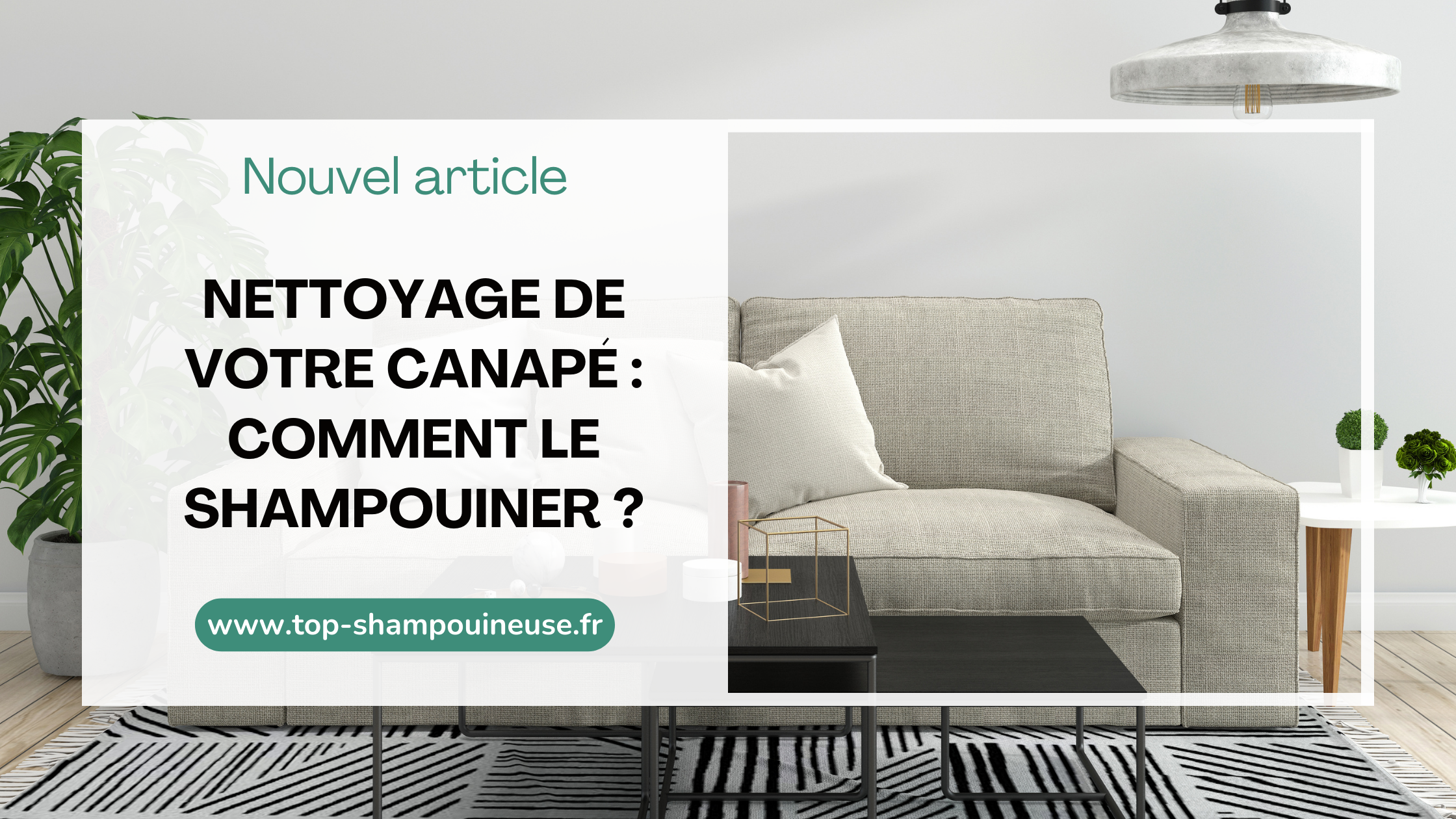 Nettoyage de votre canapé : comment le shampouiner ?